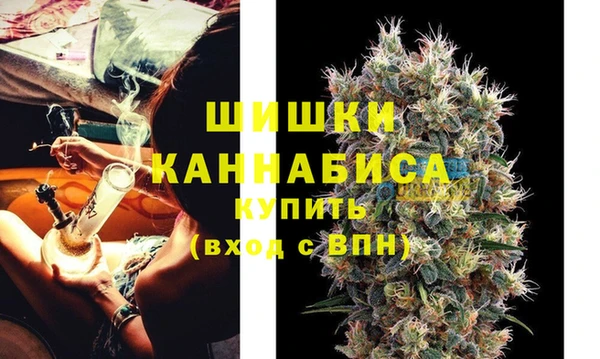 apvp Богданович