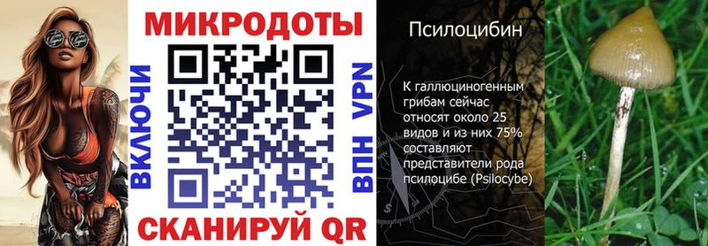 Псилоцибиновые грибы мухоморы  даркнет Telegram  Острогожск 