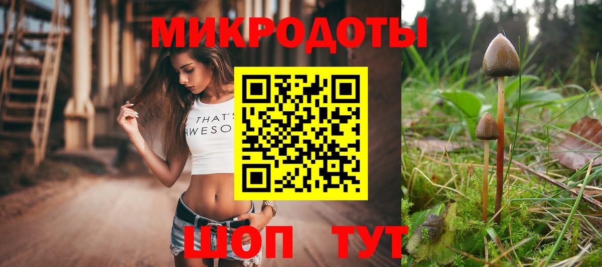 Острогожск  Псилоцибиновые грибы прущие грибы  Вход с VPN 